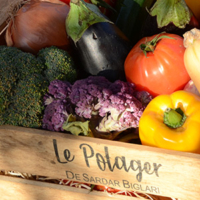 Notre potager Le potager de Sardar Biglari - Steak 'n Shake